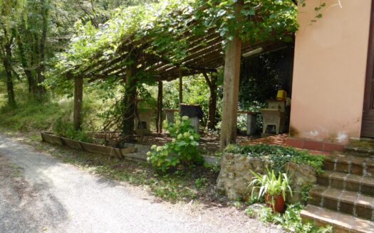 R0211 ASSET, Toscana, Guardistallo, Pisa