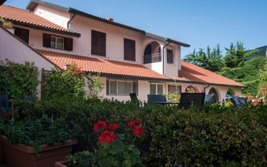 R0223 ASSET, Toscana, Arcidosso, Grosseto