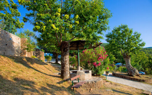 R0442 ASSET, Toscana, Cinigiano, Grosseto