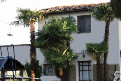 R0525 ASSET, Toscana, Palaia, Pisa